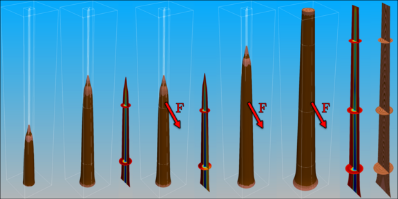 Simulation von Wachstumsspannungen unter Einfluss externer Belastung
