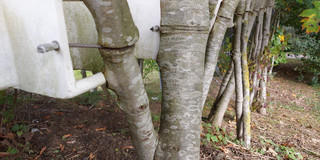 Befestigung des Steges
