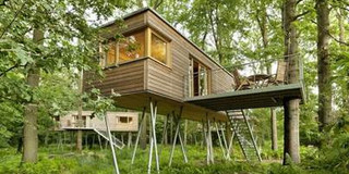 Tiny House im Wald
